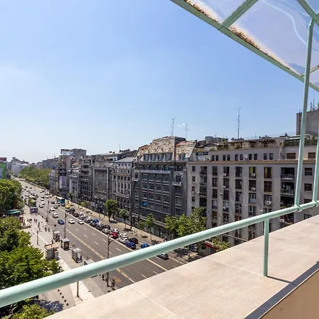 The Palm With View *