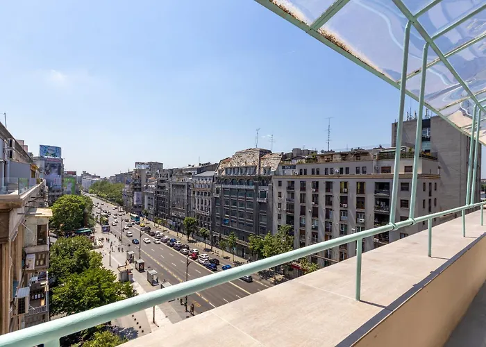 The Palm With View *